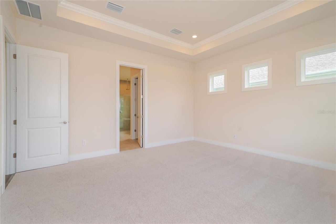 8834 Sanders Tree Loop, Wesley Chapel, FL 33545 Photo