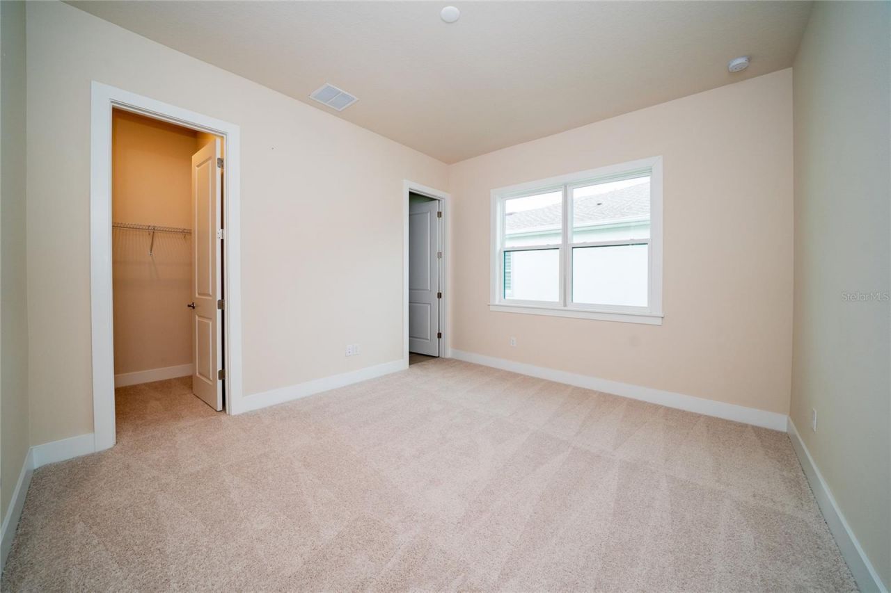 8834 Sanders Tree Loop, Wesley Chapel, FL 33545 Photo