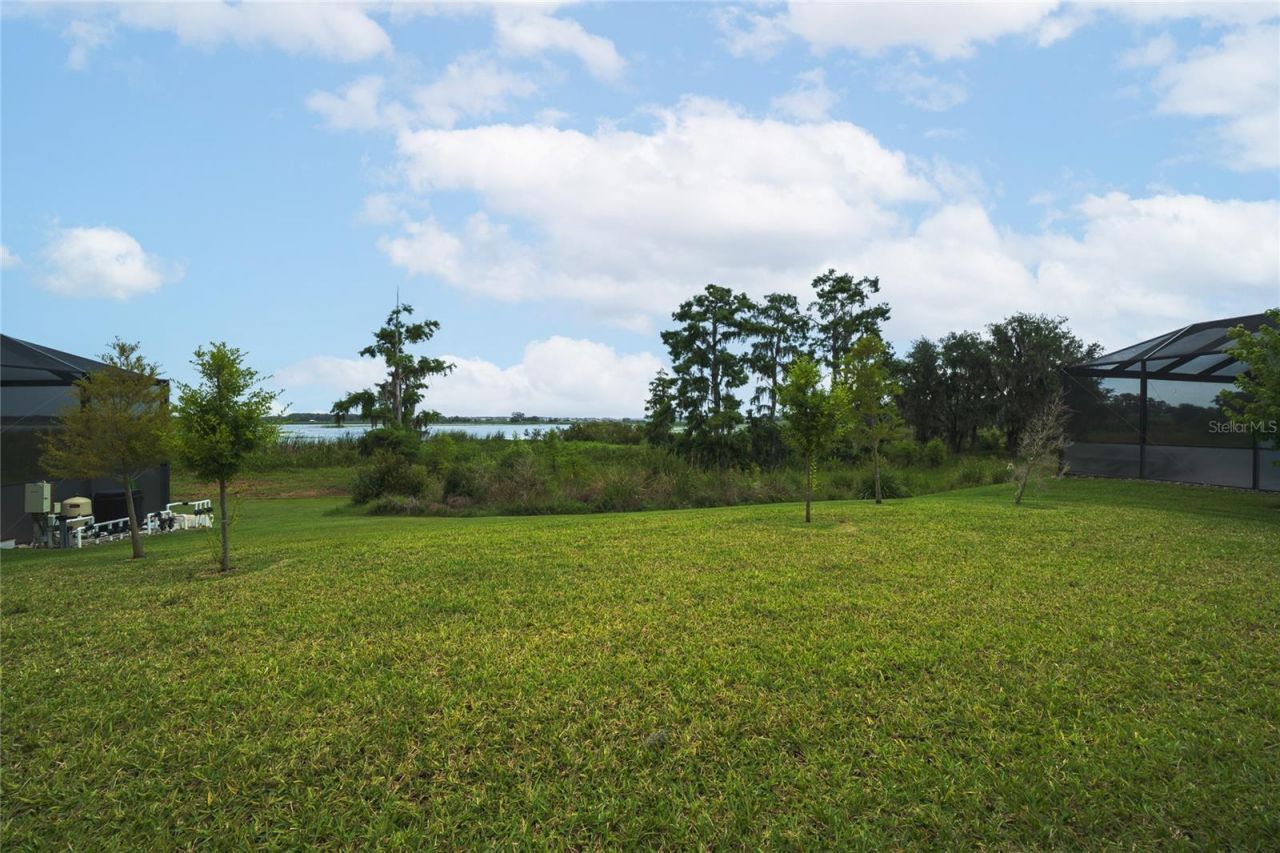 8834 Sanders Tree Loop, Wesley Chapel, FL 33545 Photo