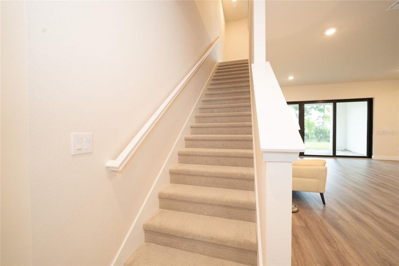 8834 Sanders Tree Loop, Wesley Chapel, FL 33545 Photo
