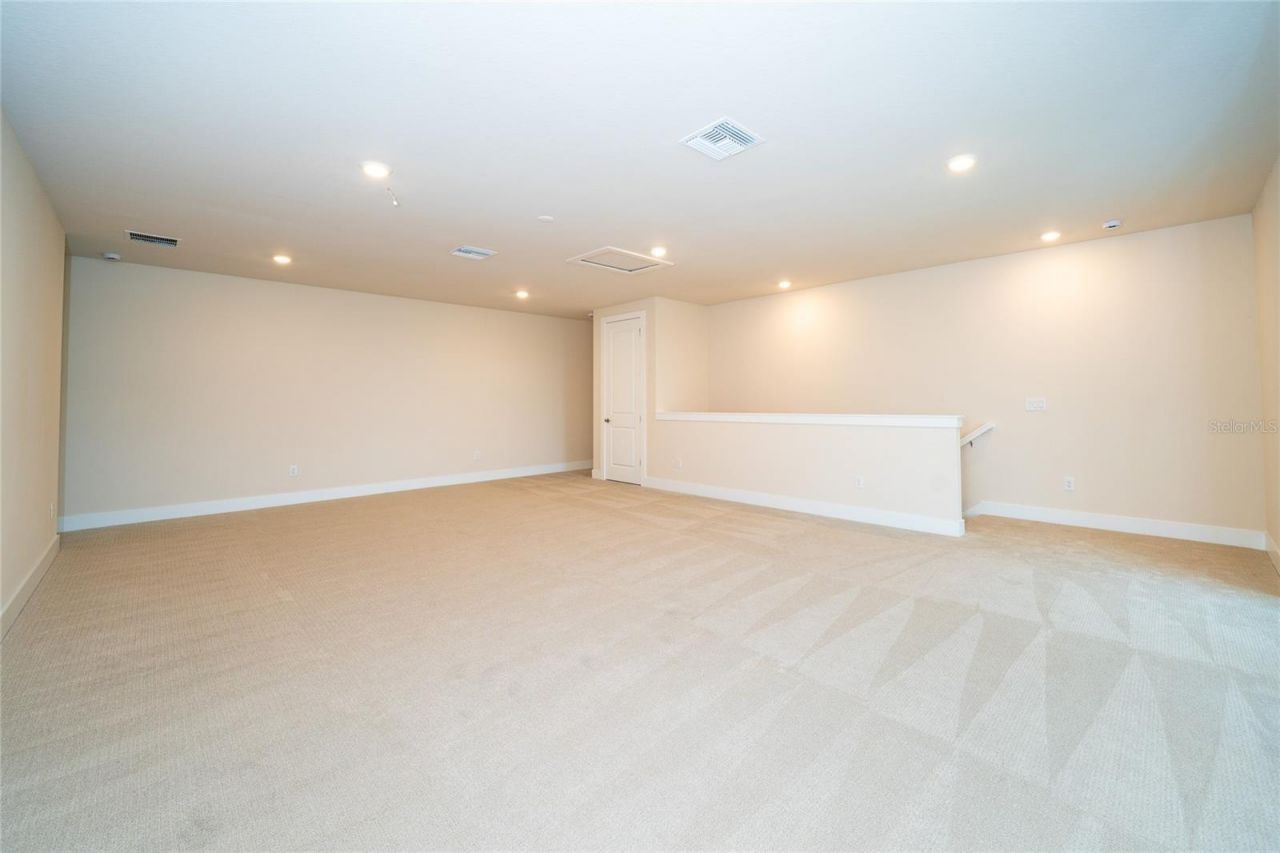 8834 Sanders Tree Loop, Wesley Chapel, FL 33545 Photo