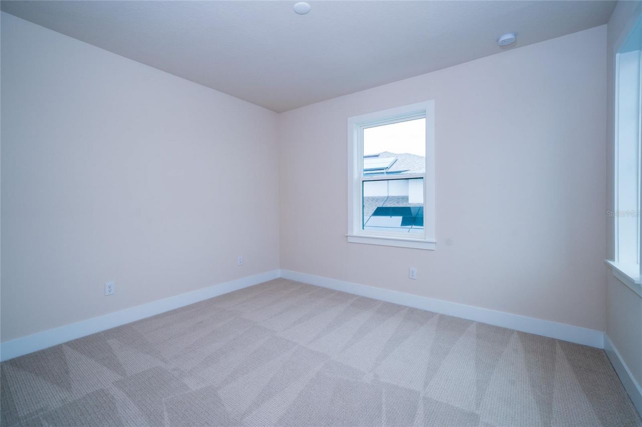 8834 Sanders Tree Loop, Wesley Chapel, FL 33545 Photo