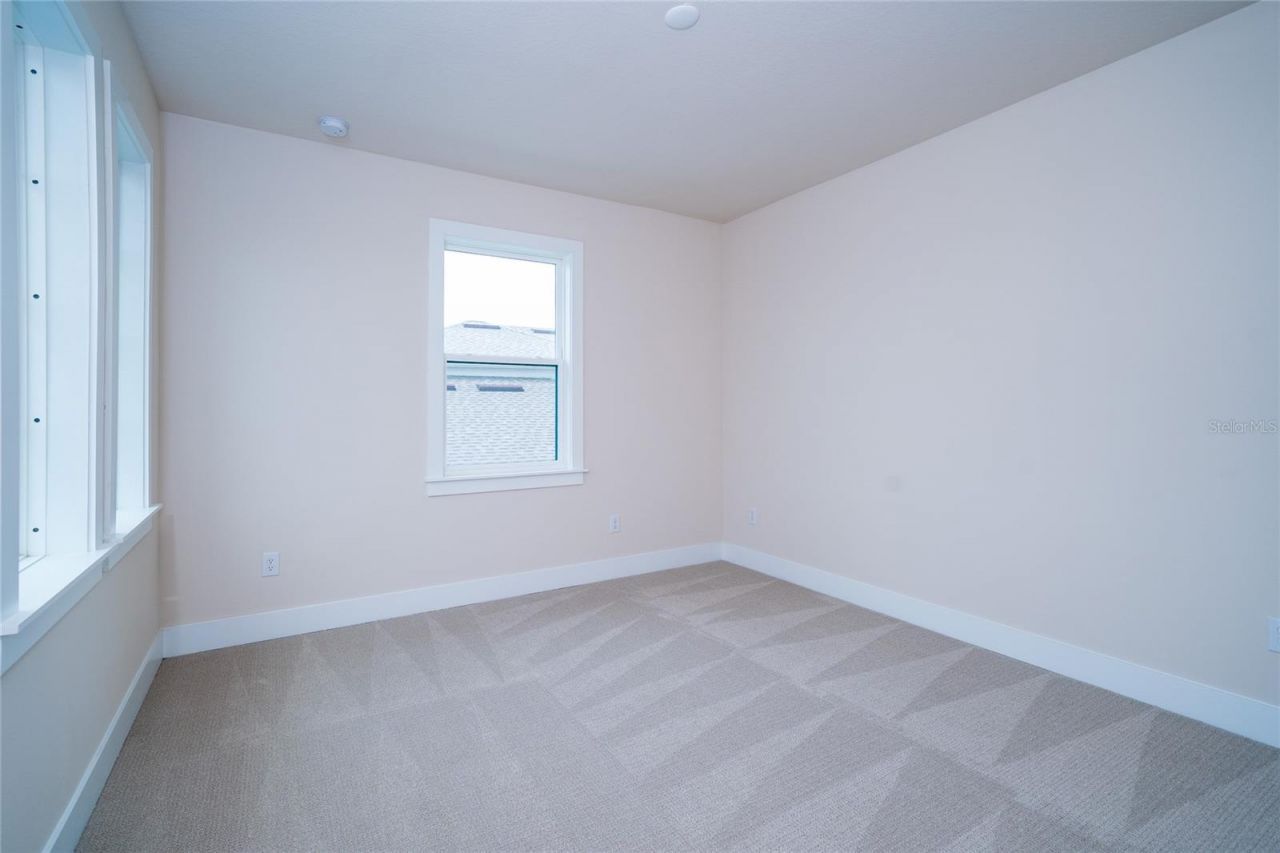 8834 Sanders Tree Loop, Wesley Chapel, FL 33545 Photo