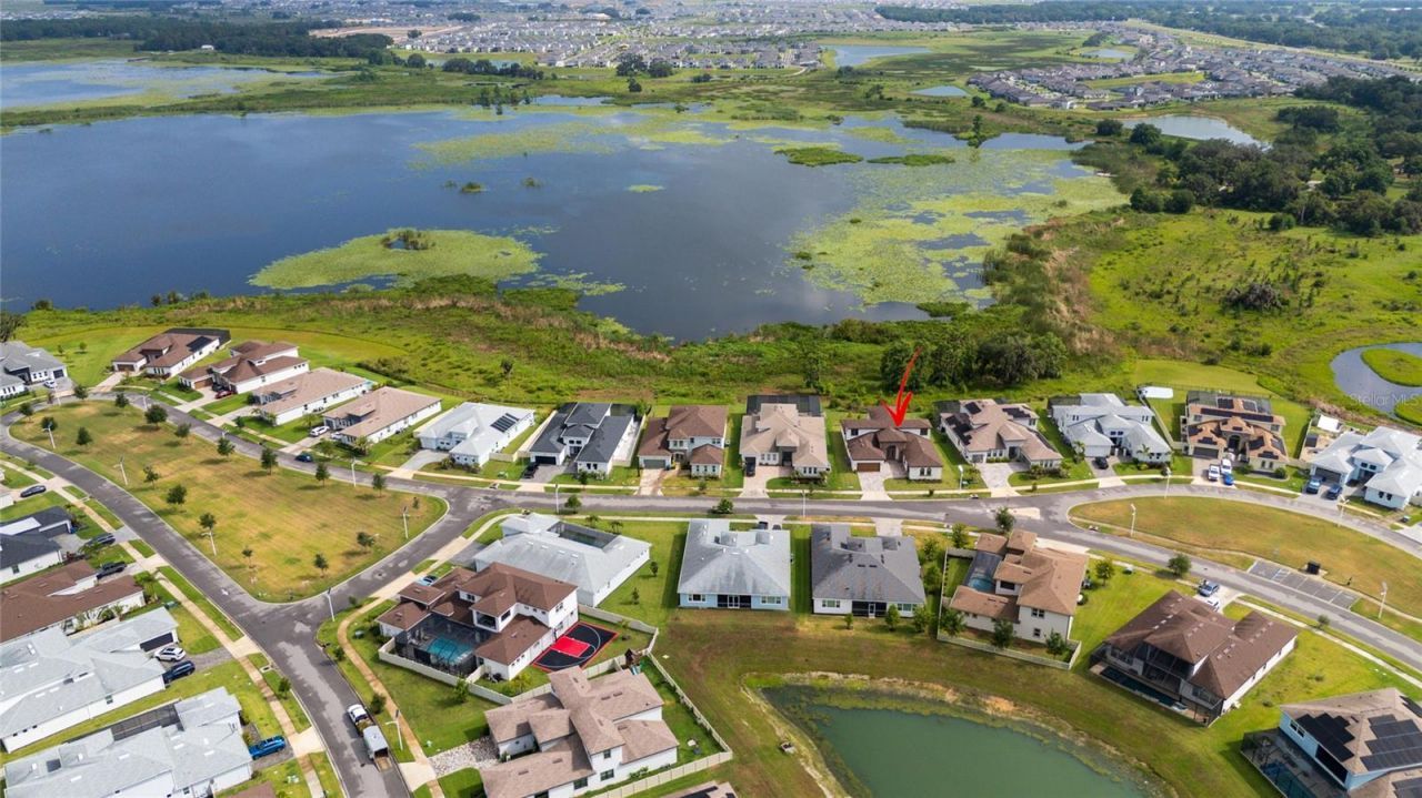 8834 Sanders Tree Loop, Wesley Chapel, FL 33545 Photo