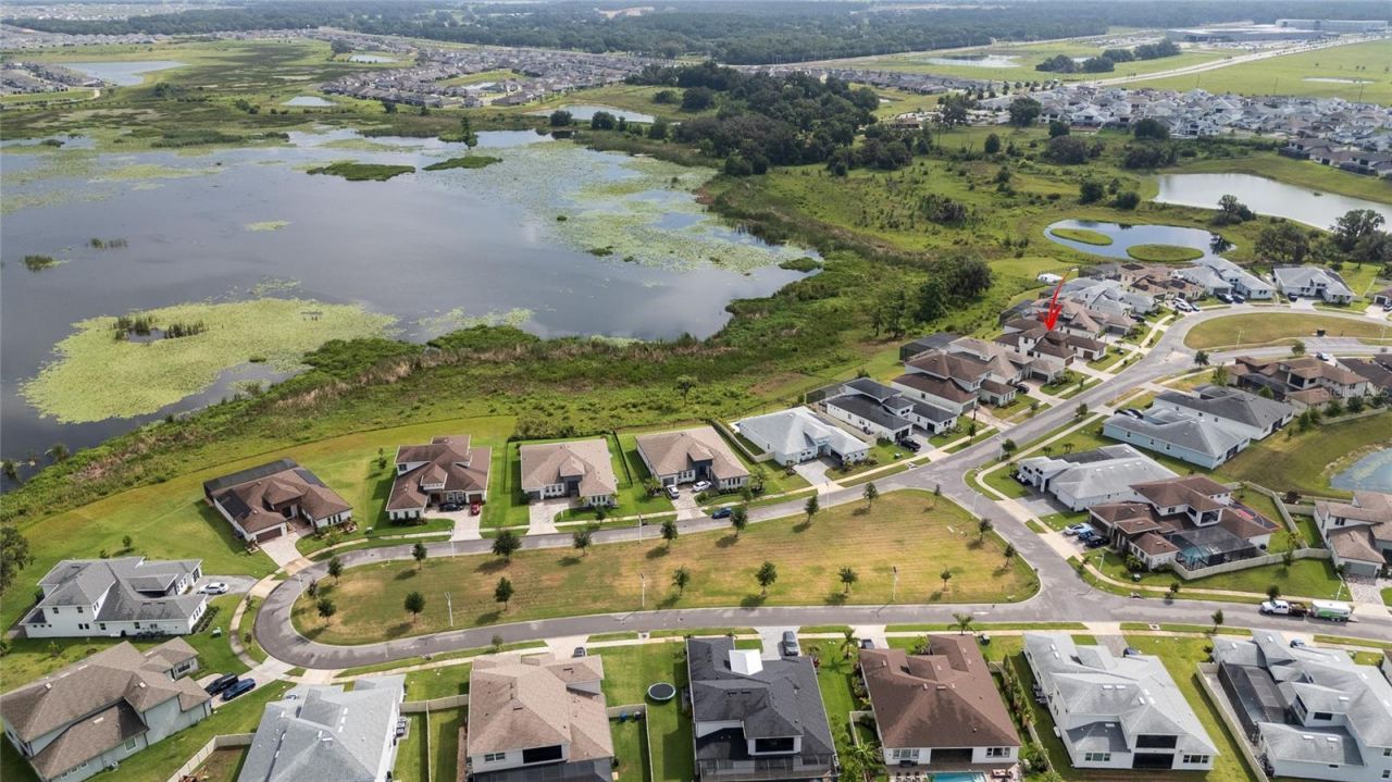 8834 Sanders Tree Loop, Wesley Chapel, FL 33545 Photo