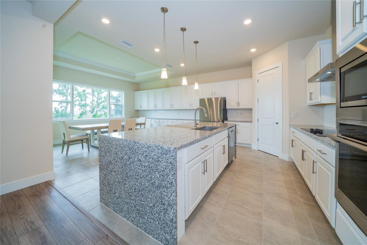 8834 Sanders Tree Loop, Wesley Chapel, FL 33545 Photo