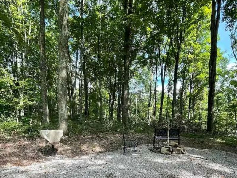 58393 North Branch Road, South Bloomingville, OH 43152 Photo 22