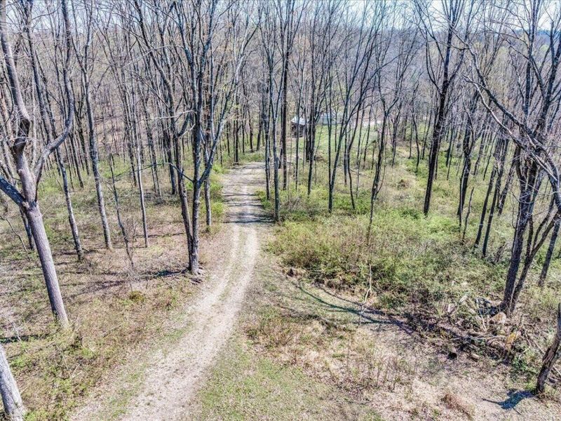 58393 North Branch Road, South Bloomingville, OH 43152 Photo 30