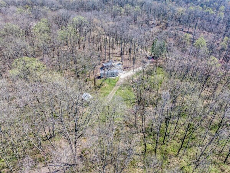 58393 North Branch Road, South Bloomingville, OH 43152 Photo 31