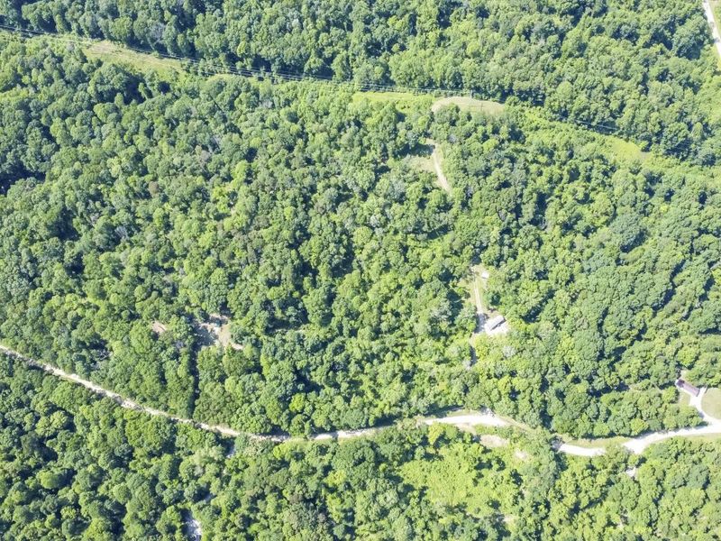 58393 North Branch Road, South Bloomingville, OH 43152 Photo 5