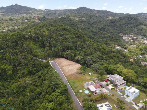 10.6 KM. 10.6 PR 174 INT. GUARAGUAO ABAJO WARD, BA, Bayam?´n, PR 00956