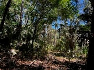 5151 Chiquita Drive, Punta Gorda, FL 33982 Photo