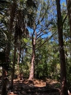 5151 Chiquita Drive, Punta Gorda, FL 33982 Photo