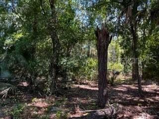 5151 Chiquita Drive, Punta Gorda, FL 33982 Photo