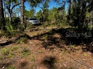 5151 Chiquita Drive, Punta Gorda, FL 33982 Photo