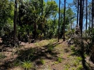 5151 Chiquita Drive, Punta Gorda, FL 33982 Photo