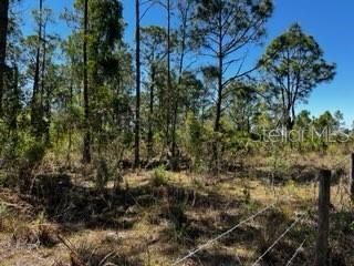 5151 Chiquita Drive, Punta Gorda, FL 33982 Photo