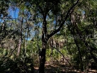 5151 Chiquita Drive, Punta Gorda, FL 33982 Photo