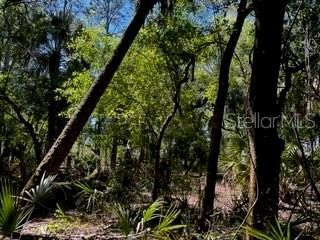 5151 Chiquita Drive, Punta Gorda, FL 33982 Photo