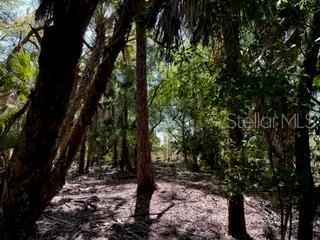 5151 Chiquita Drive, Punta Gorda, FL 33982 Photo