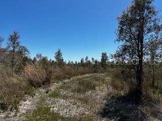 5151 Chiquita Drive, Punta Gorda, FL 33982 Photo