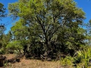 5151 Chiquita Drive, Punta Gorda, FL 33982 Photo