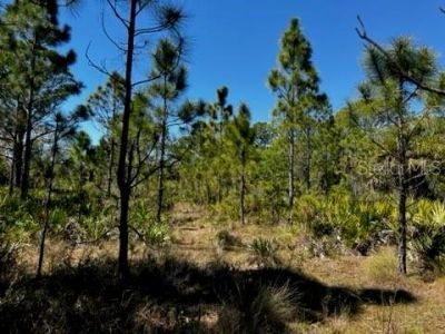 5151 Chiquita Drive, Punta Gorda, FL 33982 Photo