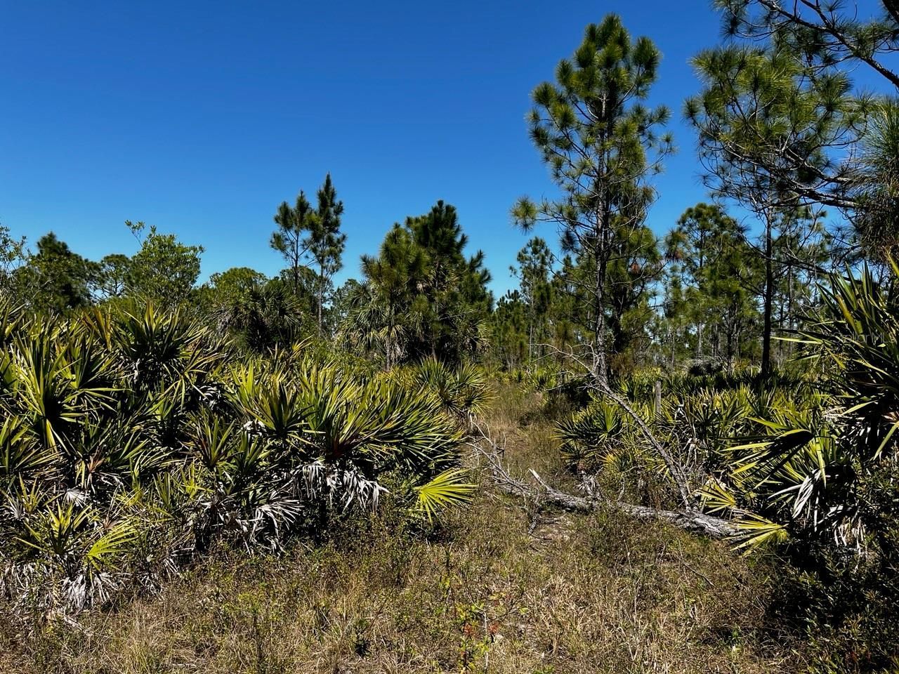 5151 Chiquita Drive, Punta Gorda, FL 33982 Photo