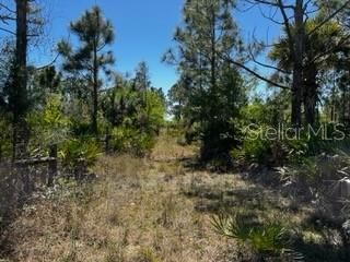 5151 Chiquita Drive, Punta Gorda, FL 33982 Photo