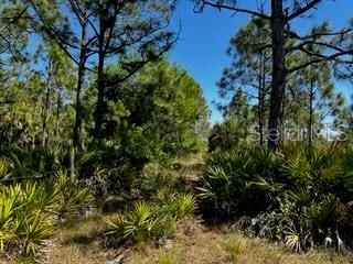 5151 Chiquita Drive, Punta Gorda, FL 33982 Photo