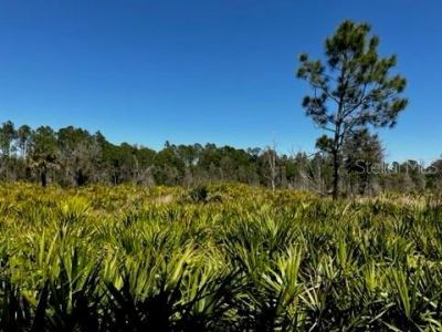 5151 Chiquita Drive, Punta Gorda, FL 33982 Photo