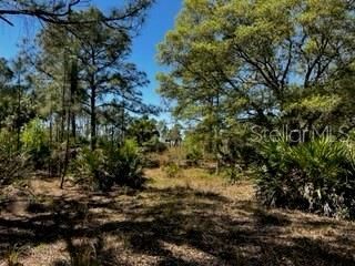 5151 Chiquita Drive, Punta Gorda, FL 33982 Photo