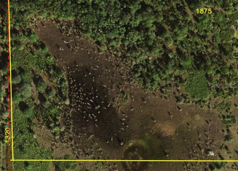 5151 Chiquita Drive, Punta Gorda, FL 33982 Photo