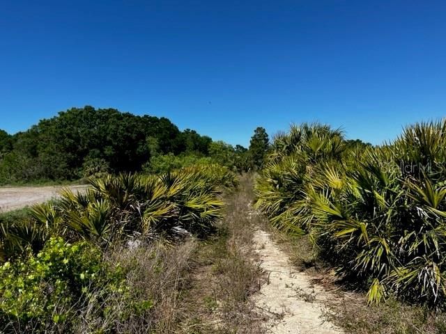 5151 Chiquita Drive, Punta Gorda, FL 33982 Photo