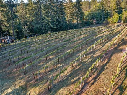 2399 Kingsgate Rd, Placerville, CA 95667 Photo