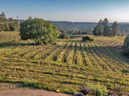2399 Kingsgate Rd, Placerville, CA 95667 Photo
