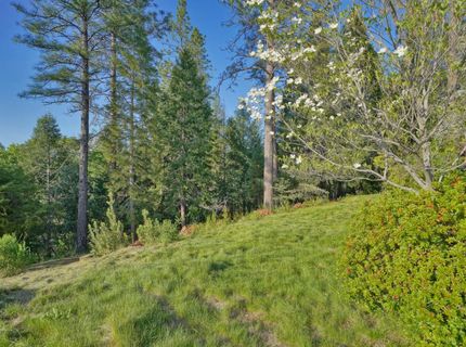 2399 Kingsgate Rd, Placerville, CA 95667 Photo