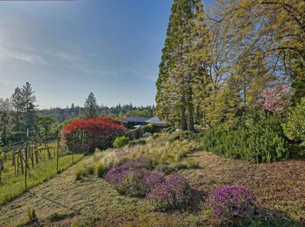 2399 Kingsgate Rd, Placerville, CA 95667 Photo