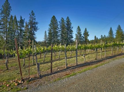 2399 Kingsgate Rd, Placerville, CA 95667 Photo