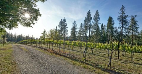 2399 Kingsgate Rd, Placerville, CA 95667 Photo