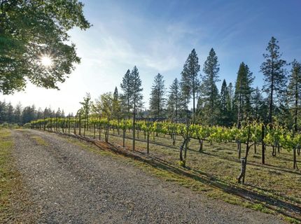 2399 Kingsgate Rd, Placerville, CA 95667 Photo