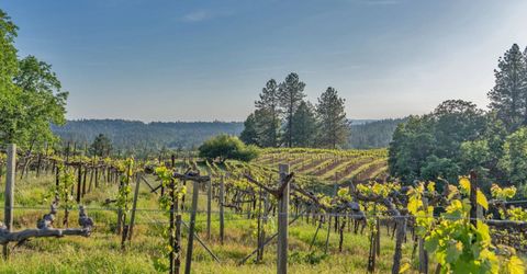 2399 Kingsgate Rd, Placerville, CA 95667 Photo