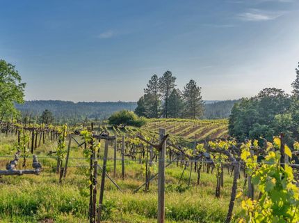 2399 Kingsgate Rd, Placerville, CA 95667 Photo