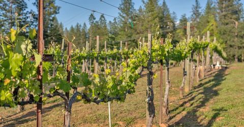 2399 Kingsgate Rd, Placerville, CA 95667 Photo