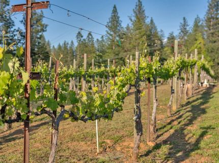 2399 Kingsgate Rd, Placerville, CA 95667 Photo