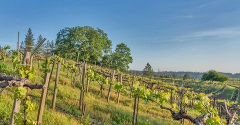 2399 Kingsgate Rd, Placerville, CA 95667 Photo