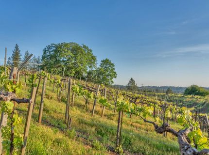 2399 Kingsgate Rd, Placerville, CA 95667 Photo