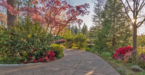 2399 Kingsgate Rd, Placerville, CA 95667 Photo