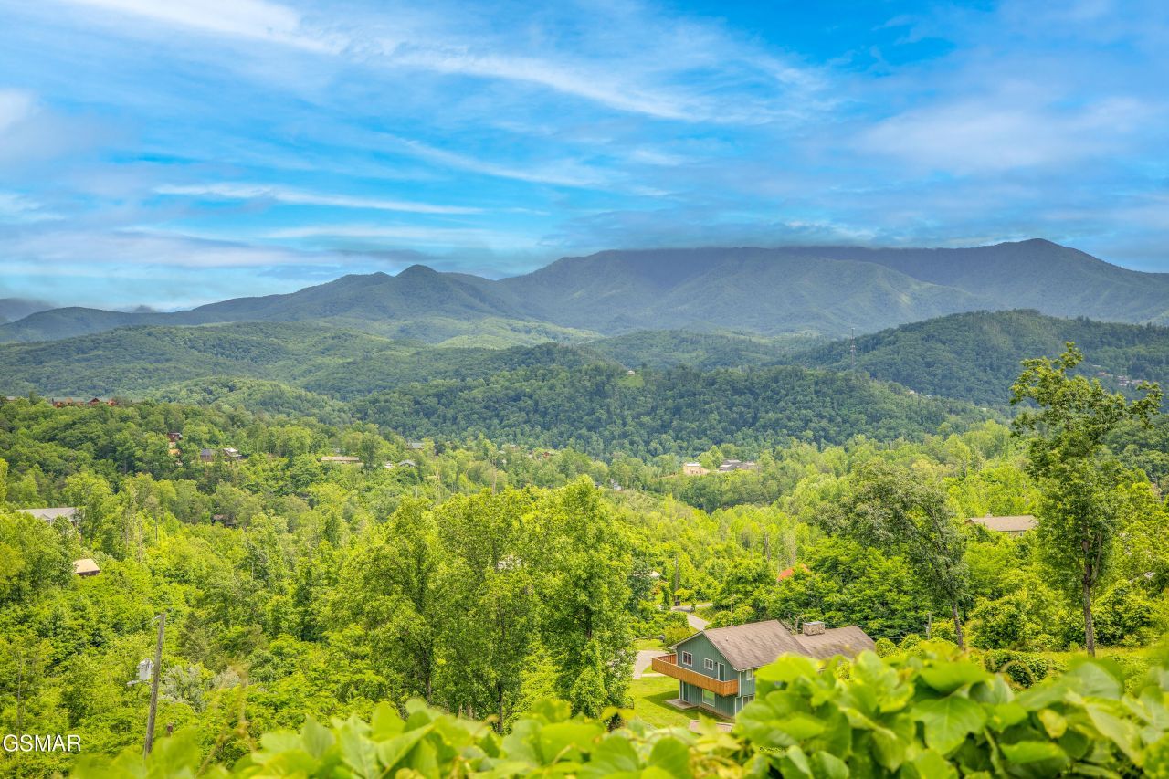 806 Beanstalk Court, Gatlinburg, TN 37738 Main Photo