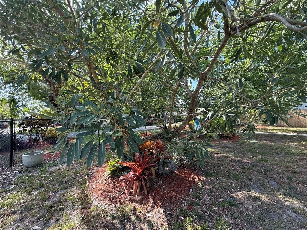 2304 Clifford St, Fort Myers, FL 33901 Photo